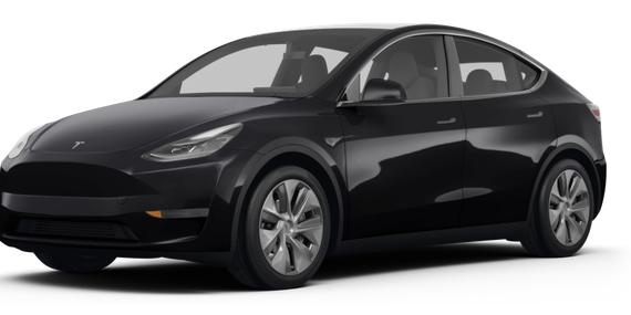 TESLA MODEL Y 2024 7SAYGDEE9RA317459 image